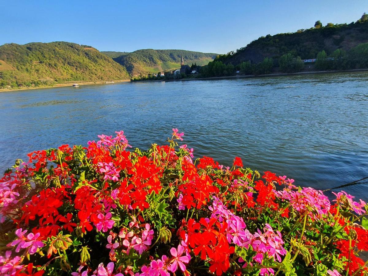 Grosse Wohnung Mit Rheinblick Boppard Exterior photo